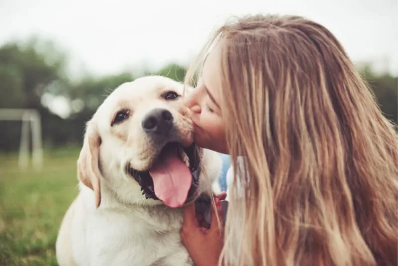 Cost of Owning a Dog