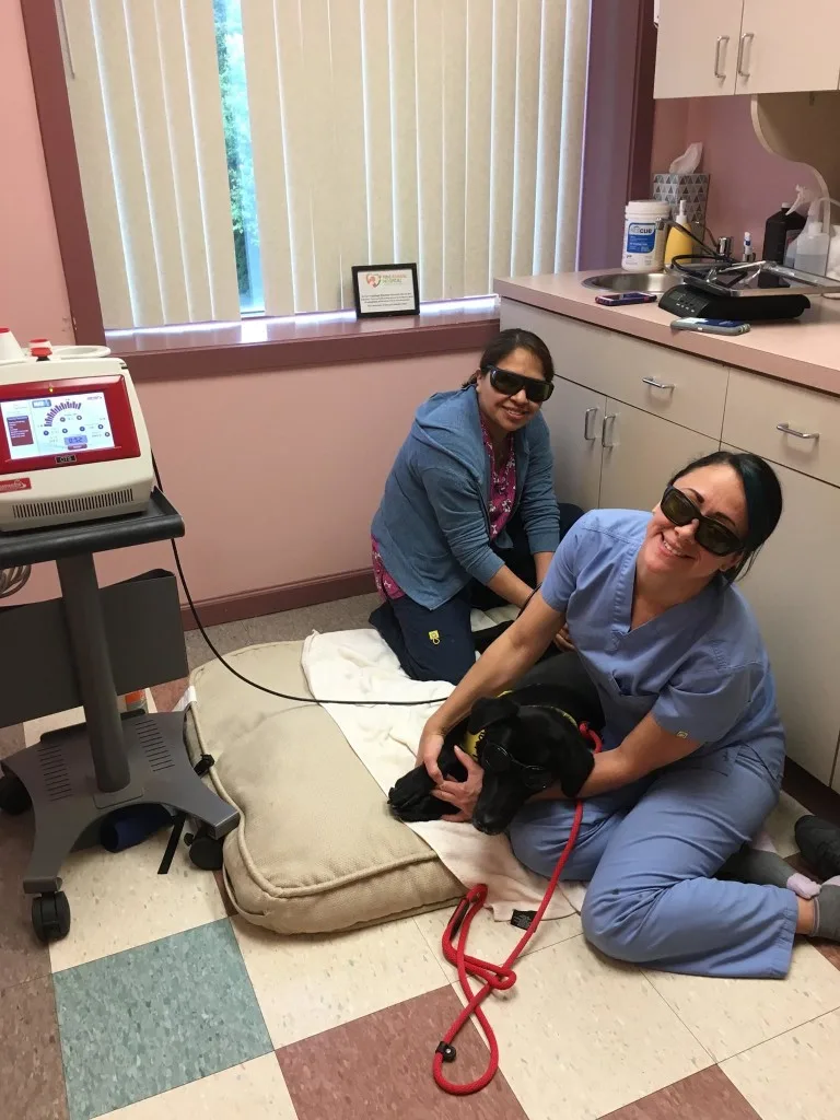 Veterinary Appointment