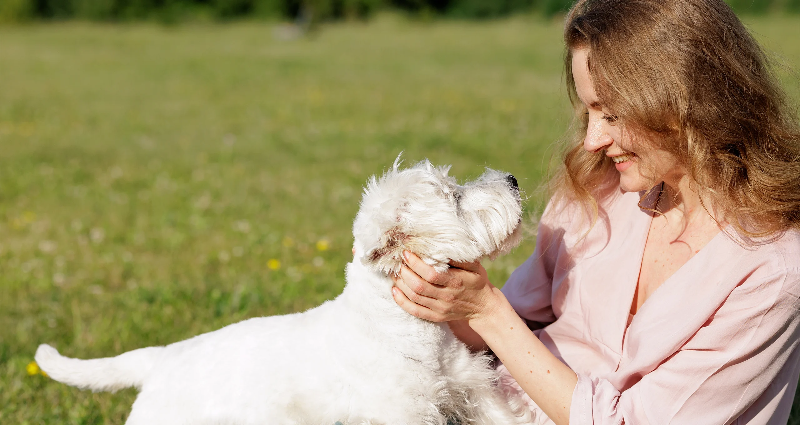 h woman with pink shirt sitting with west highland terrier in park