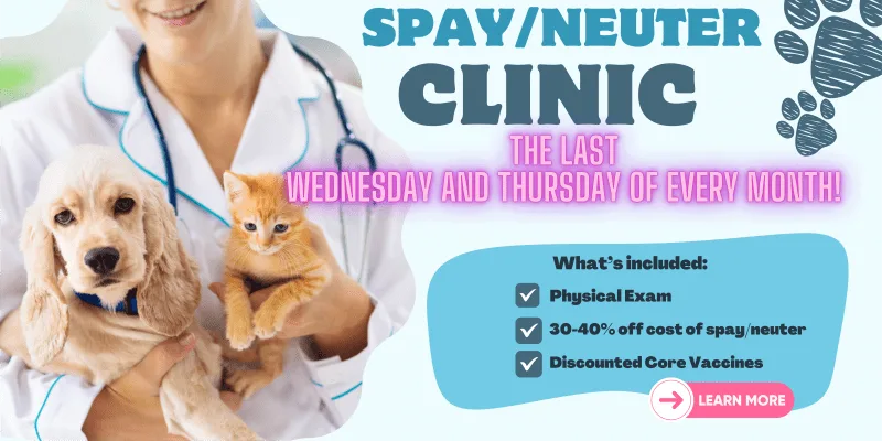 Monthly Spay & Neuter Clinic: Up to 40% Off