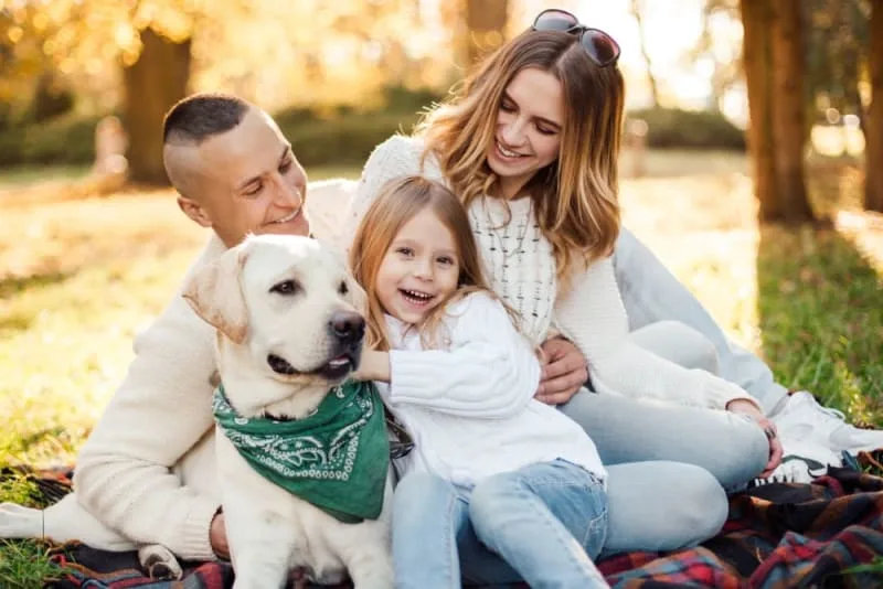Best Dogs for Families