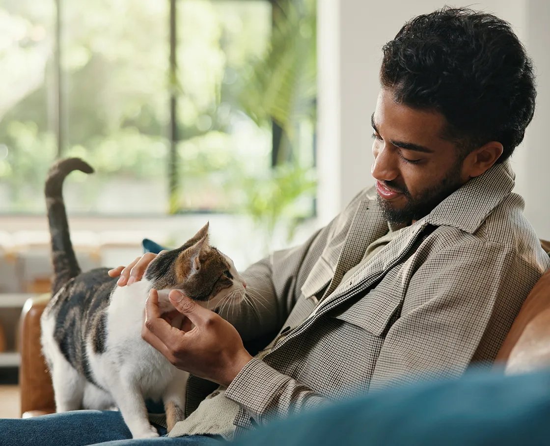 man petting a cat on a couch