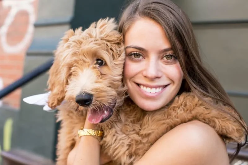 The Friendliest Dog Breeds