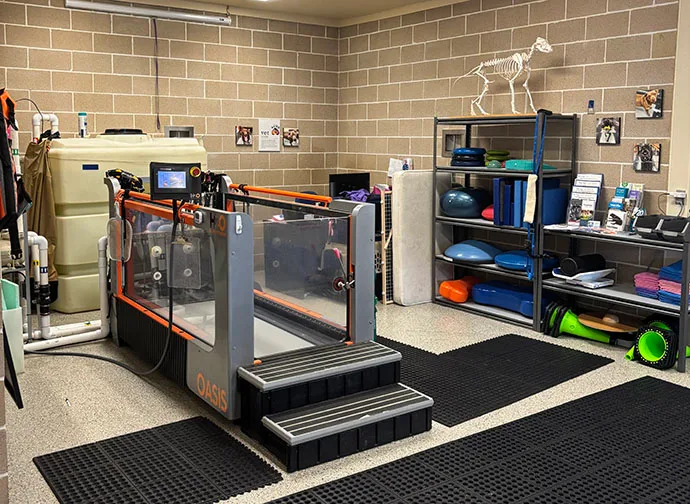 Mountain View Veterinary Hospital Vancouver Washington Rehabilitation Underwater Treadmill