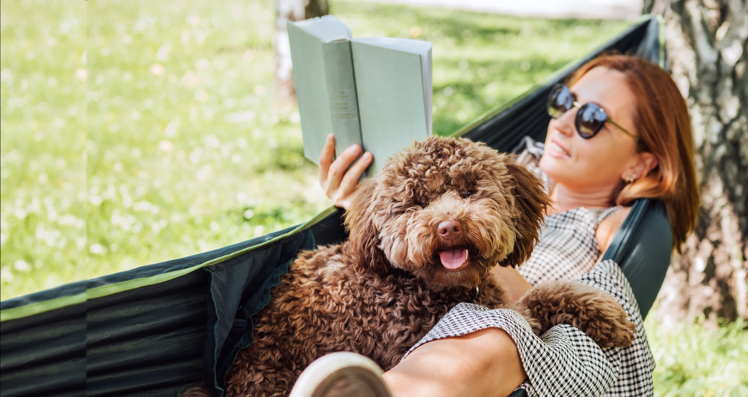 h woman reading book with poodle in hammock