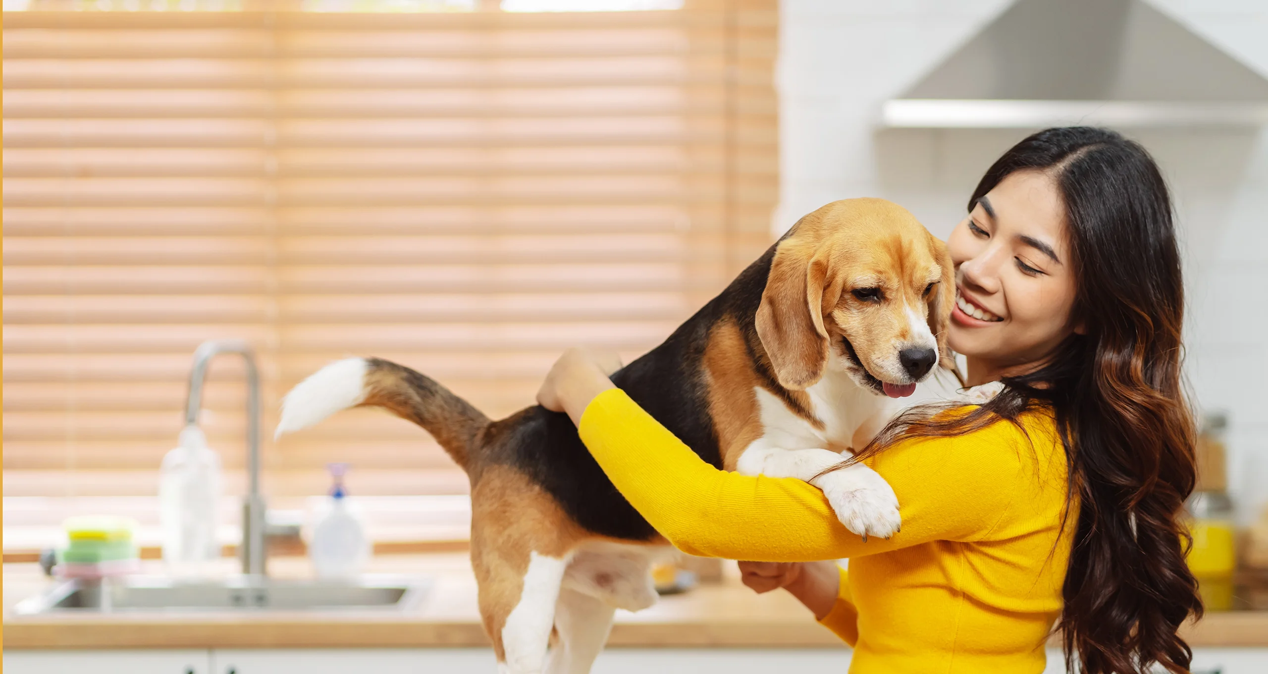 h asian woman in yellow shirt with beagle in kitchen