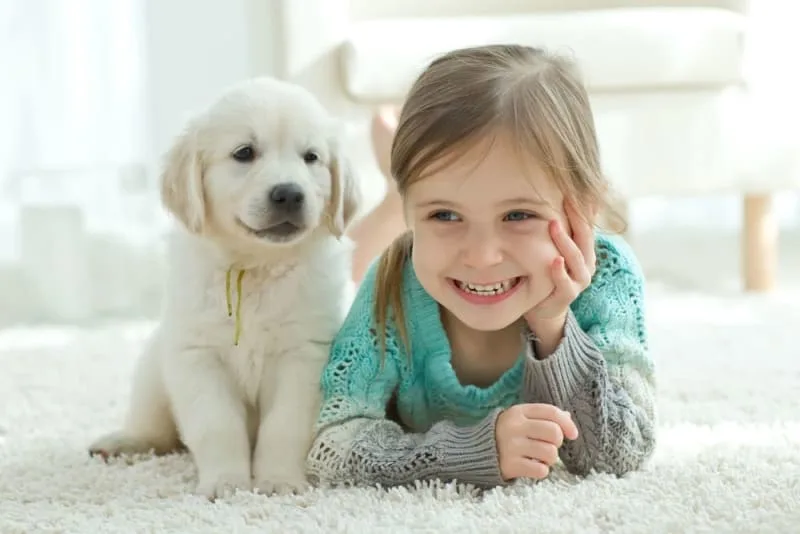 Fun Dog Facts for Kids