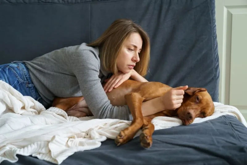 When to Visit an Emergency Vet