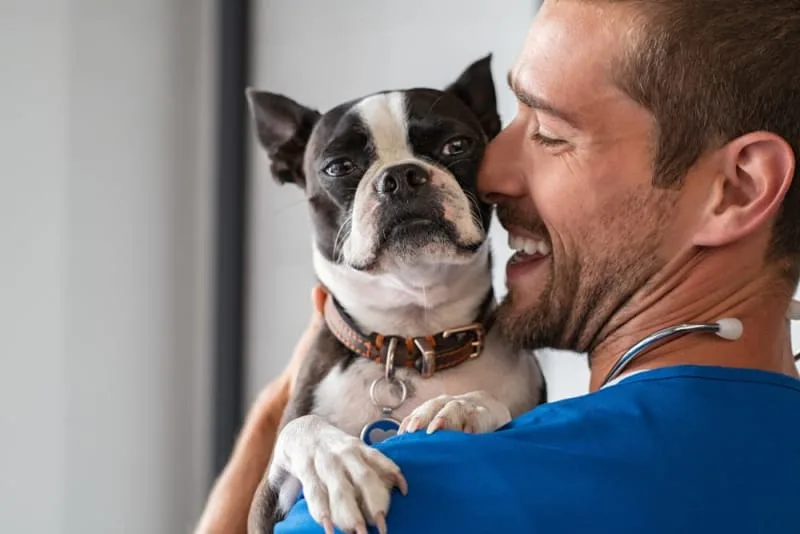 What is an AAHA Accredited Animal Hospital?