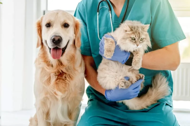 Pet Routine Care Checklist