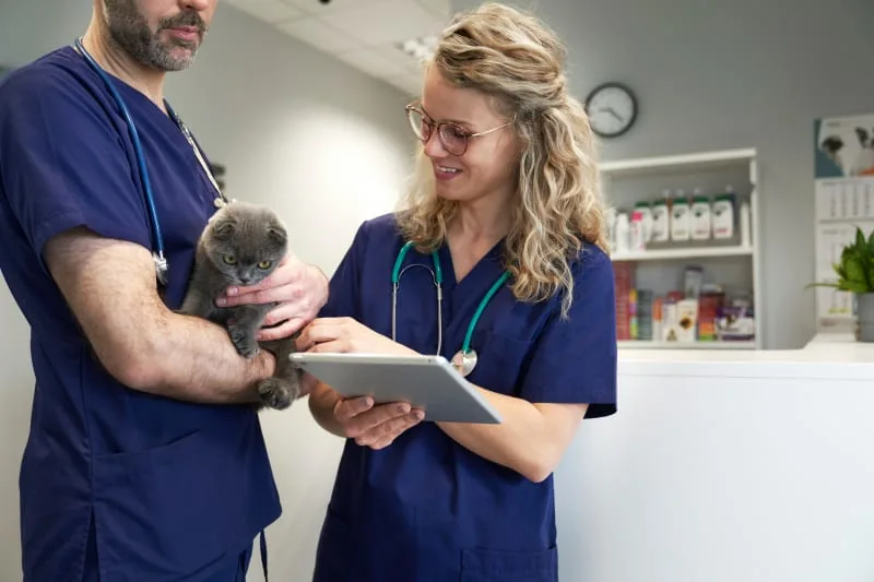 Labored Breathing in Cats & Dogs