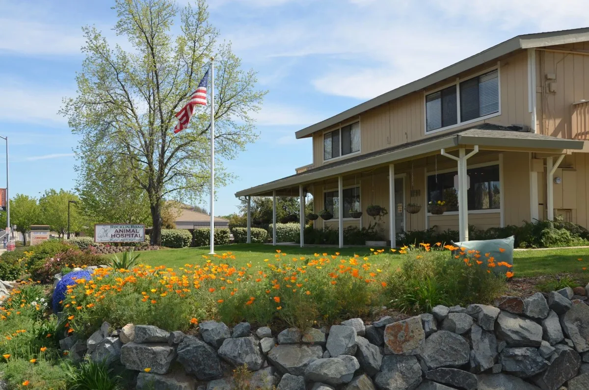 Rocklin Road Animal Hospital 9
