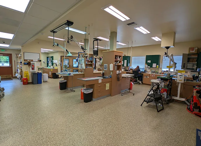 Treatment Area