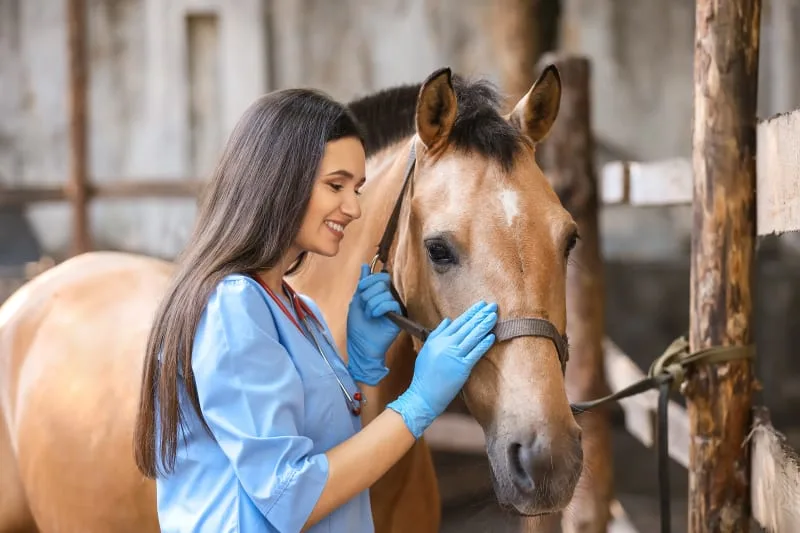 Coggins Testing & Equine Infectious Anemia - What You Need to Know