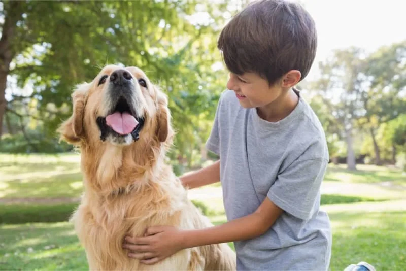 Fun Dog Facts for Kids