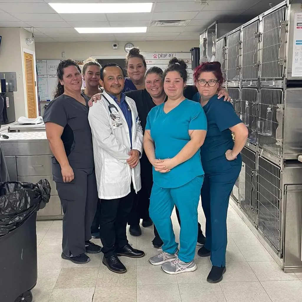 Our Veterinary Team