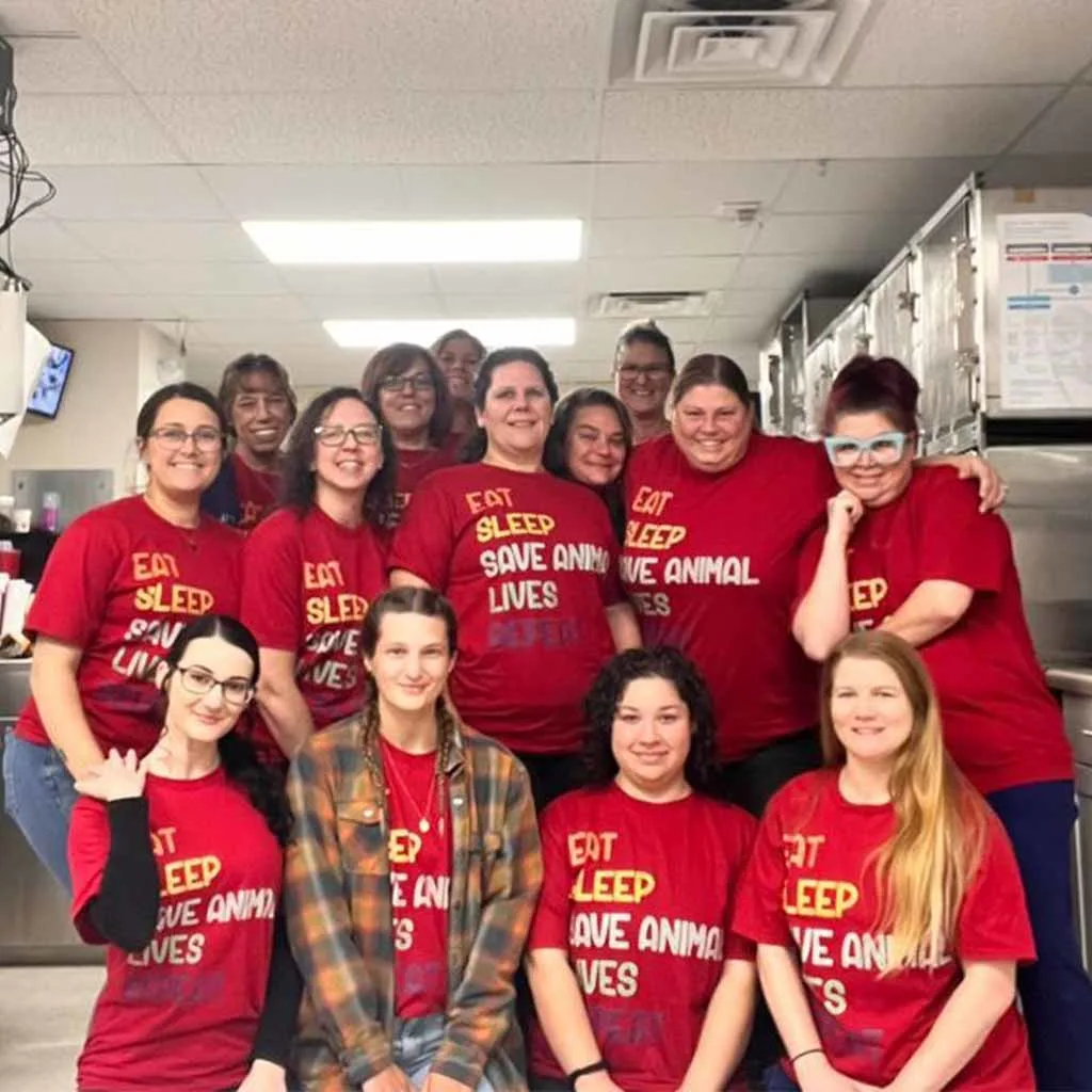 Our Veterinary Team