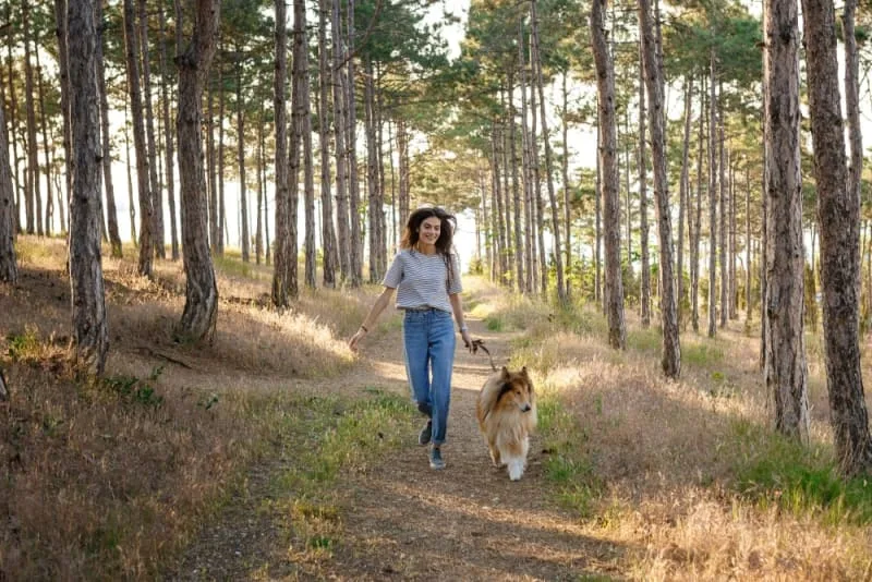 How do I know if my pet has Lyme disease?