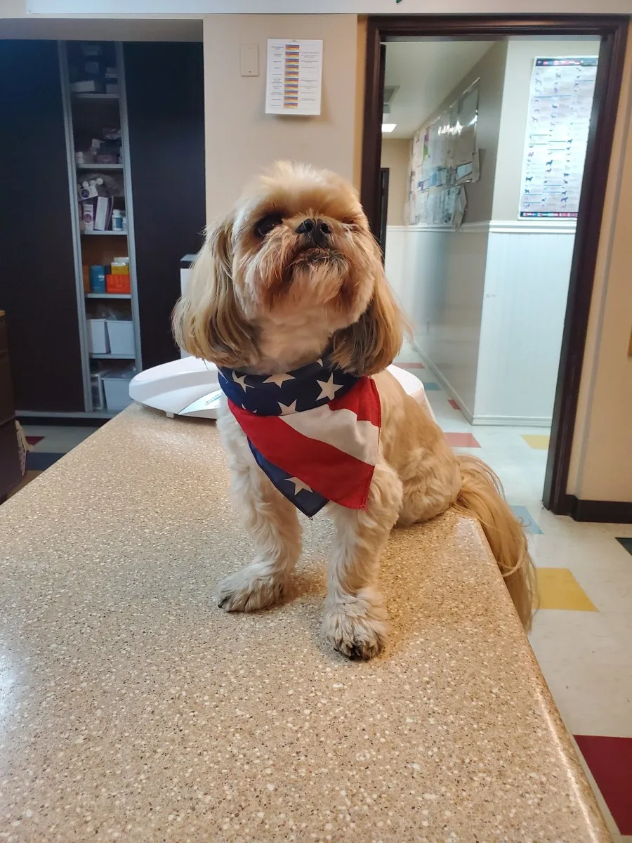 Rocklin Road Animal Hospital 18