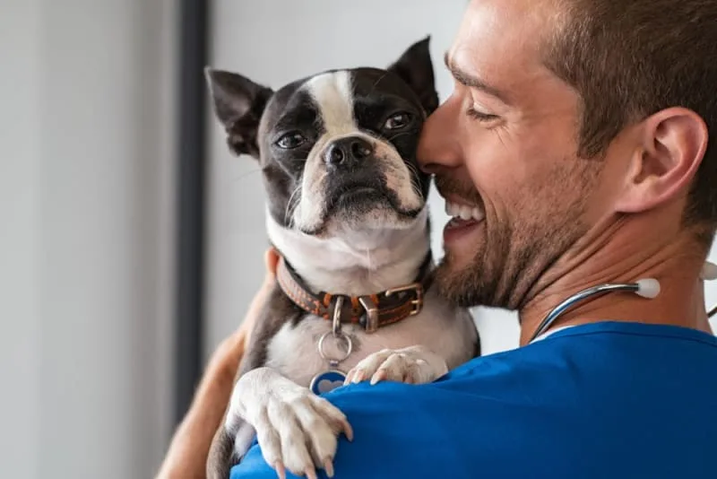 Thyroid Hormone Testing in Dogs