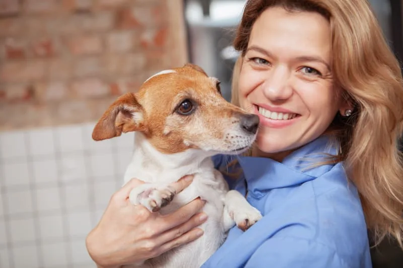 What To Expect Form Your Cat or Dogs Endoscopy