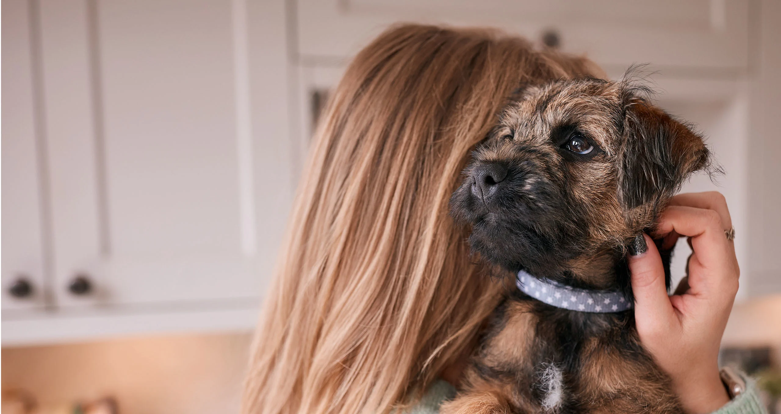 h medium brown haired woman with wire haired terrier looking over her shoulder