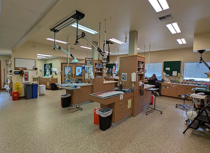 Treatment Area 2