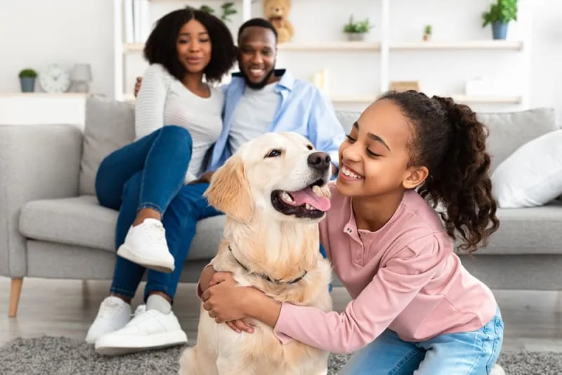 Best Dogs for Family Life - Some of Our Favorite Breeds