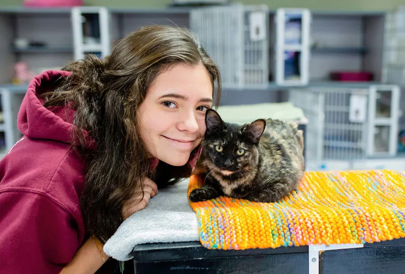 What is medical boarding? How can it benefit my pet?
