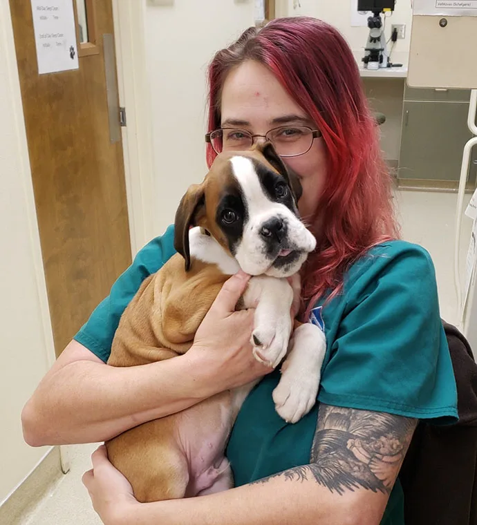 Mountain View Veterinary Hospital Vancouver Washington Hugoh