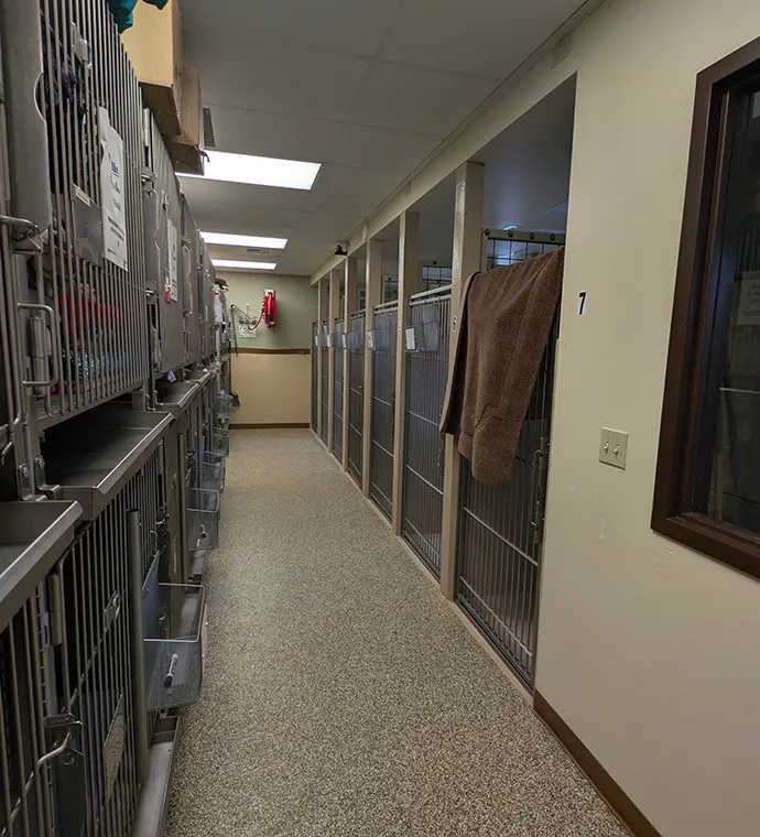 Dog Kennels
