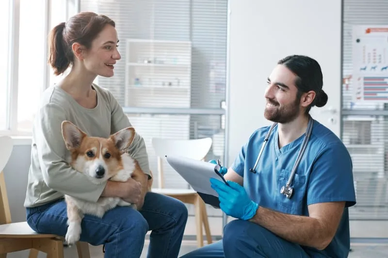 Understanding Your Dogs Blood Test Results