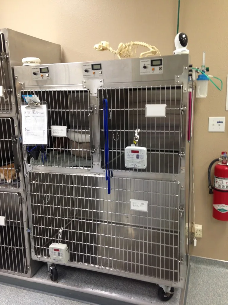 Critical Care suites