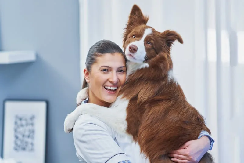 Why Blood Tests For Dogs Are Important