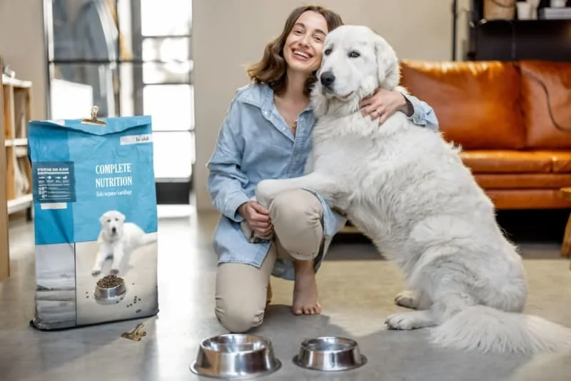 Diet for Dogs With Kidney Failure
