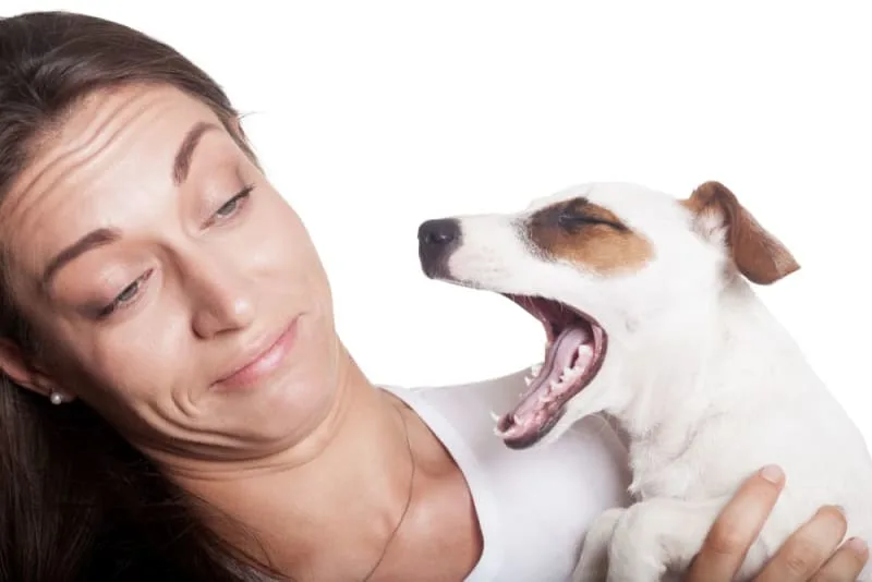 Bad Breath in Dogs: Causes & Remedies