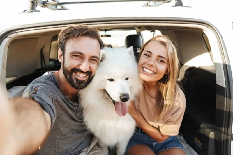 The True Cost of Owning a Dog for Life