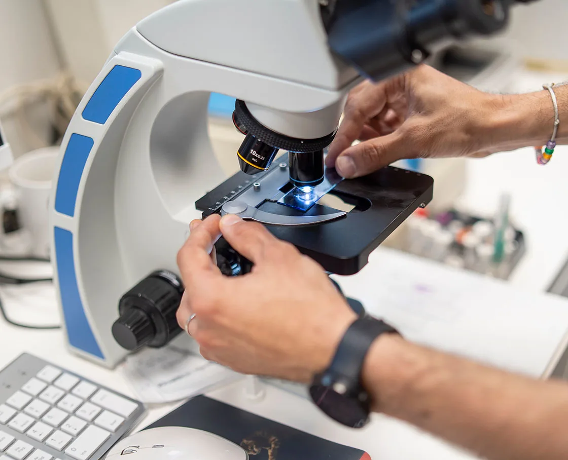 Close-up of a veterinarian working with a microscope
