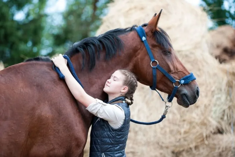 Neck Pain in Horses: Causes & Symptoms