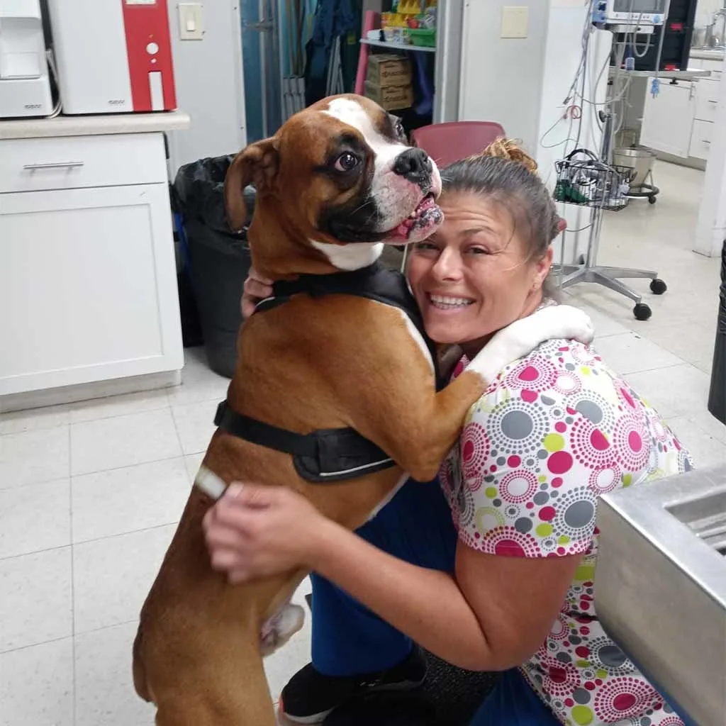 Our Veterinary Team