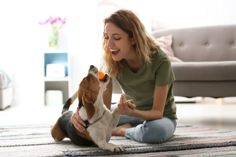 Why does my dog's breath smell so bad?