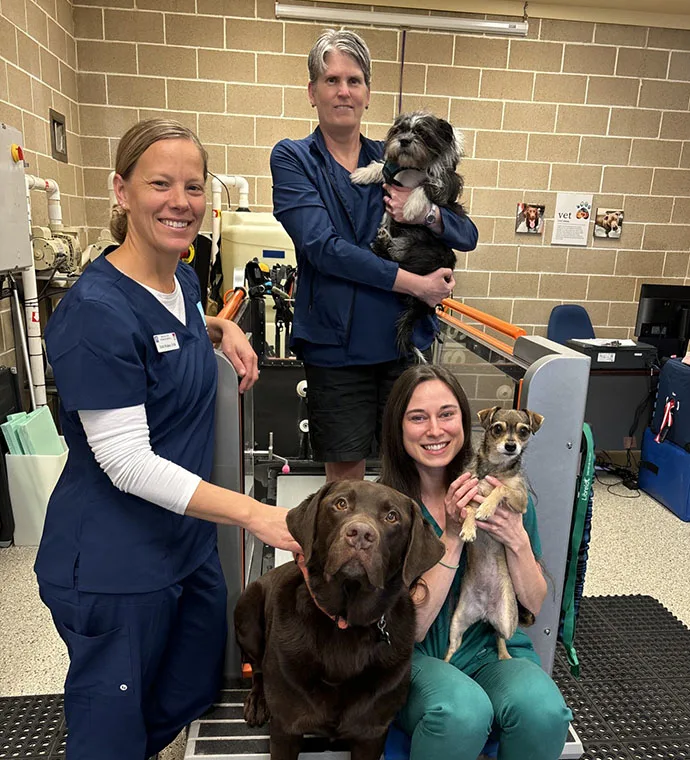 Mountain View Veterinary Hospital Vancouver Washington Rehabilitation Team
