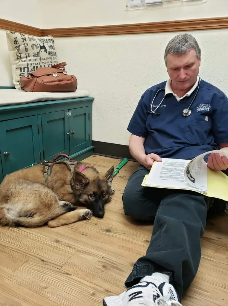 Our Patients