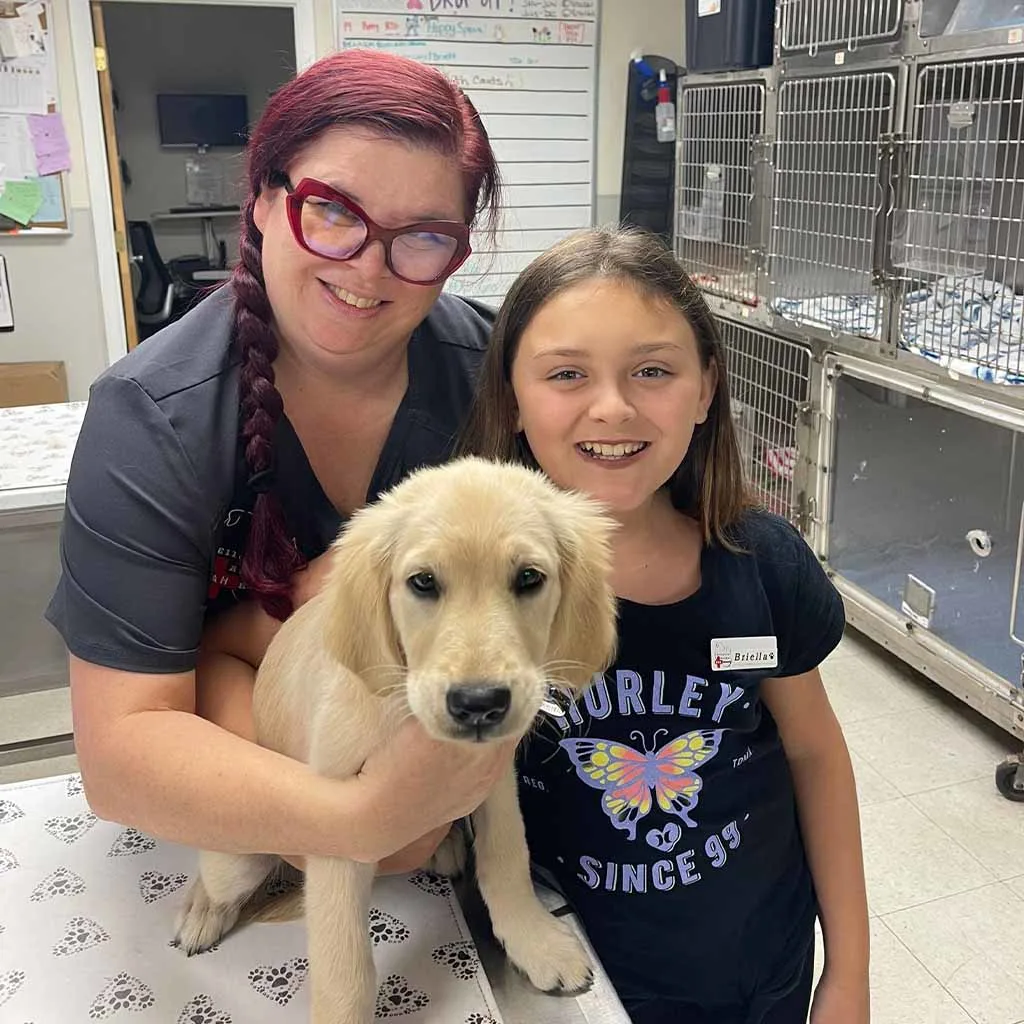 Our Veterinary Team