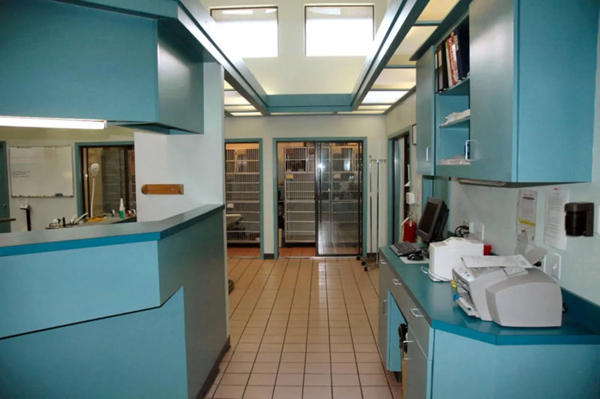 Treatment Area 2