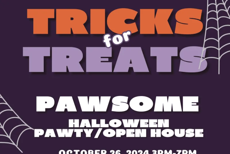 Tricks for Treats at our Spooktacular Halloween Open House