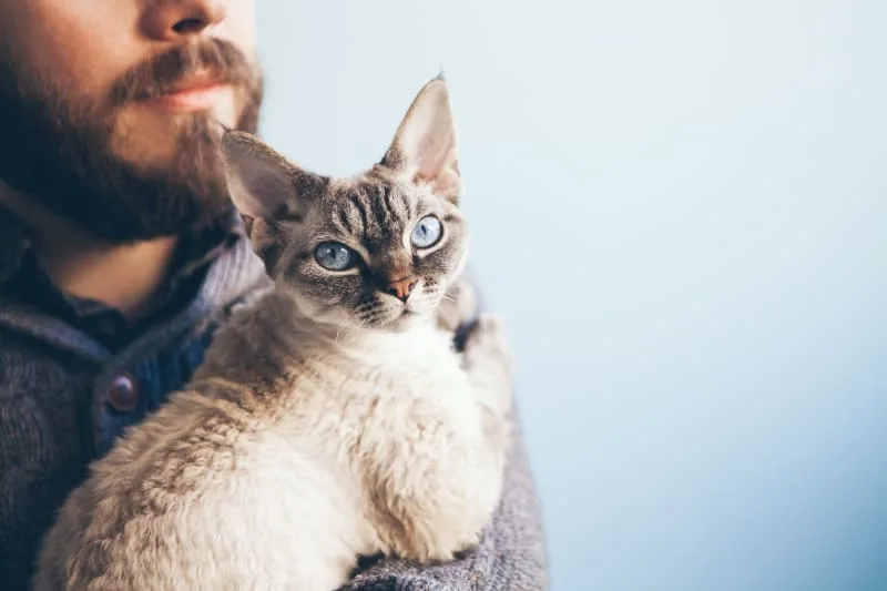 How To Tell If Your Cat Has Asthma