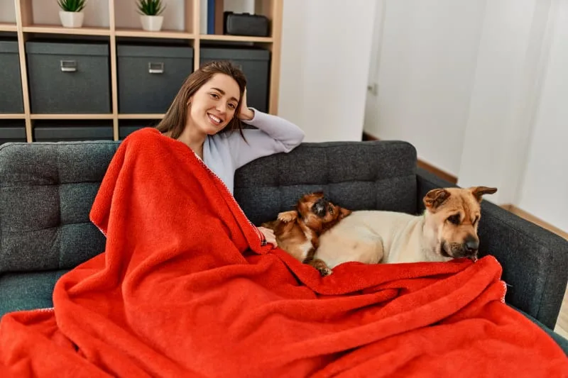 Mold Allergy in Dogs: Symptoms & Treatment