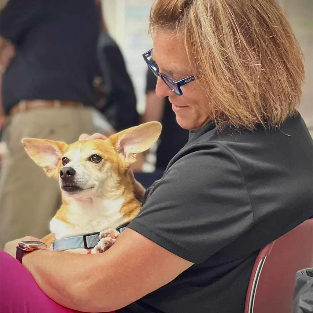 Our Veterinary Team