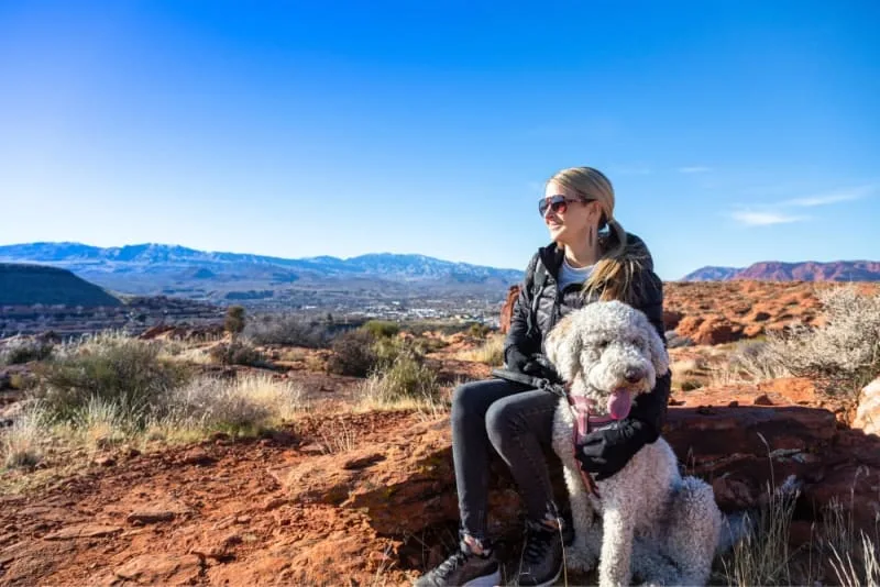 How to Prevent Valley Fever in Dogs
